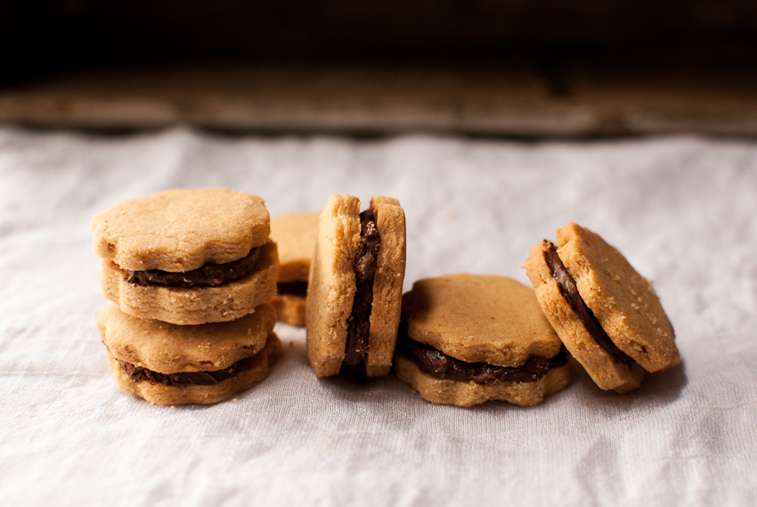 PB & Chocolate Cookies