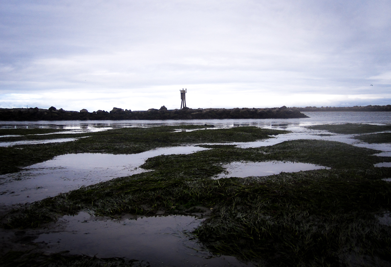 Yaquina Bay OR