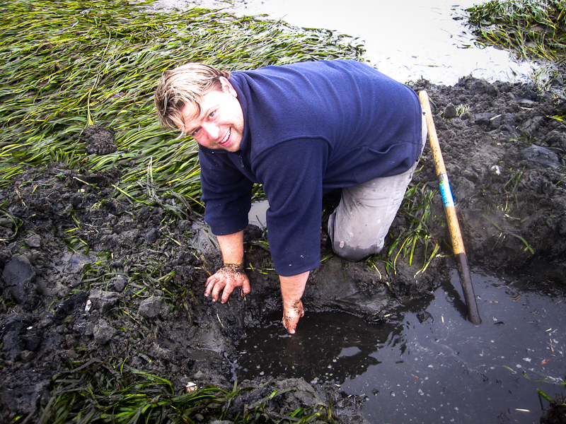 Andrew clamming