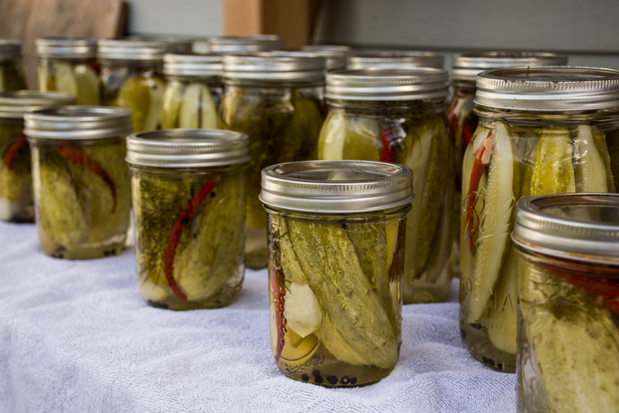 dill pickles